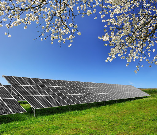 Things To Consider Before Buying A Quality Solar Panel